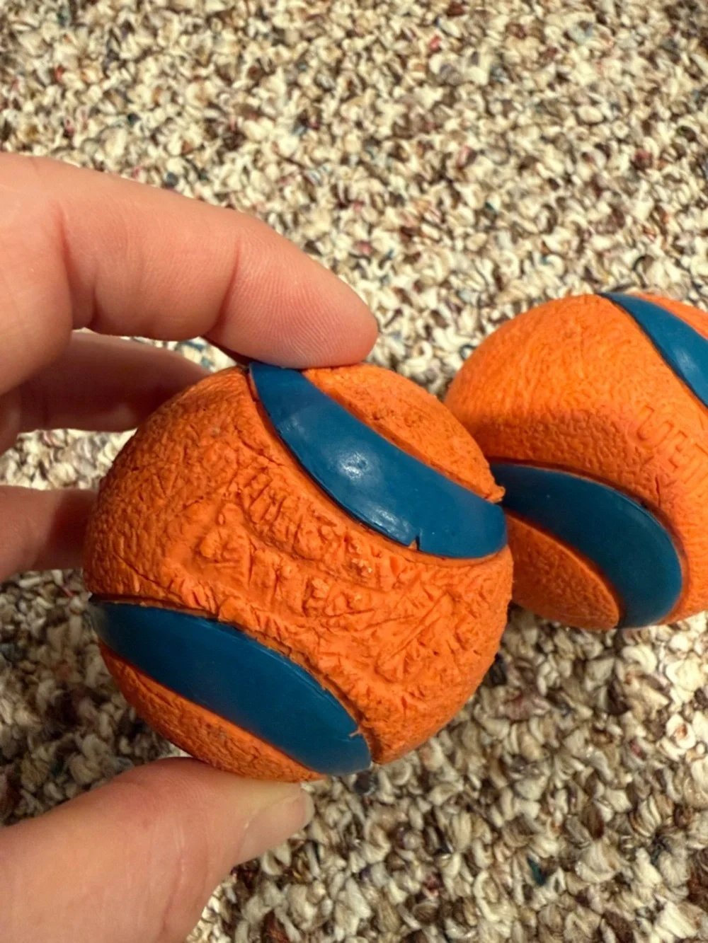 Chuckit! Orange and Blue Dog Balls Size Medium